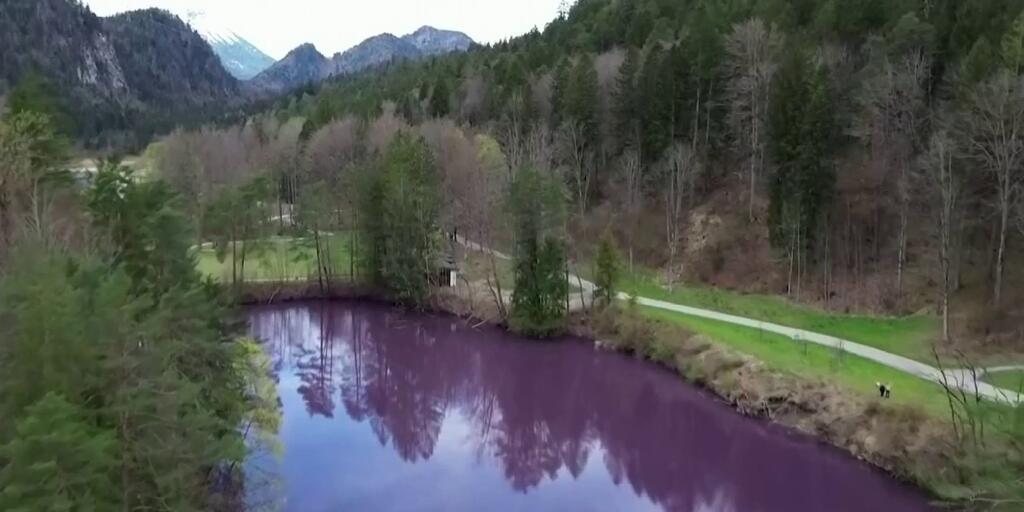 Lago en Alemania cambia de color a morado