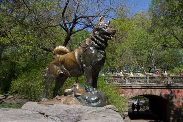 La emotiva historia de Balto, el Husky Siberiano que se convirtió en héroe y tiene una estatua en Central Park