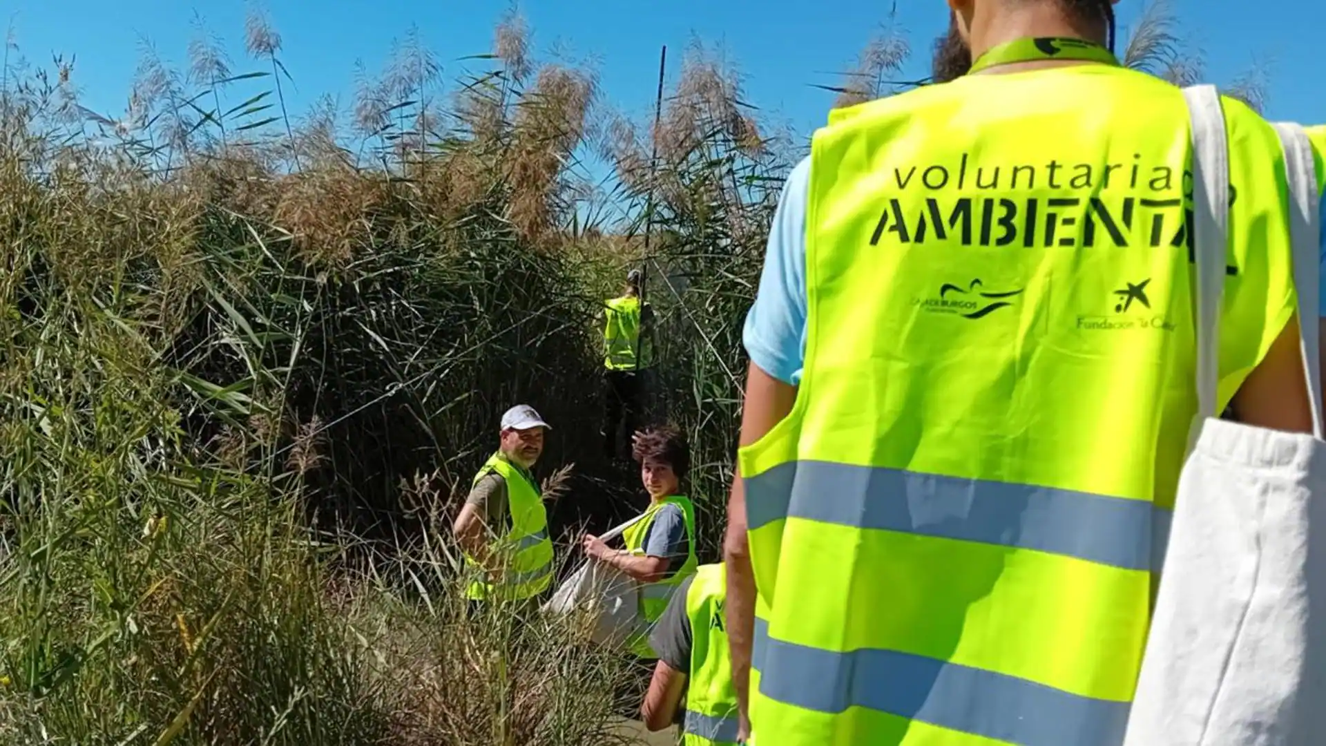 Convocan ayudas para promover el voluntariado ambiental en Burgos | BURGOSconecta