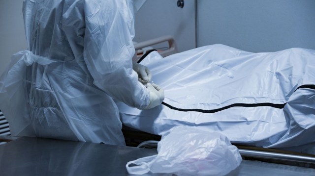 Cabezas, pies y manos: esposa de exdirector de la morgue de Harvard robó partes de cadáveres para venderlas
