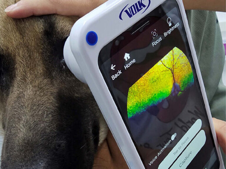 investigan-el-uso-de-la-tecnologia-basada-en-smartphones-para-la-oftalmoscopia-en-medicina-veterinaria