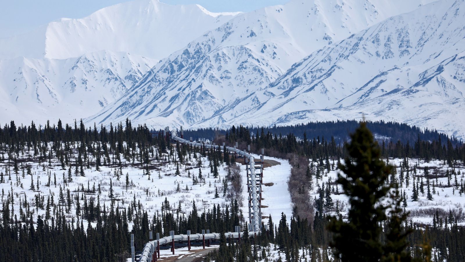 Victoria arrolladora de los defensores del clima: gobierno de Biden prohíbe perforaciones en casi la mitad de las reservas de petróleo de Alaska