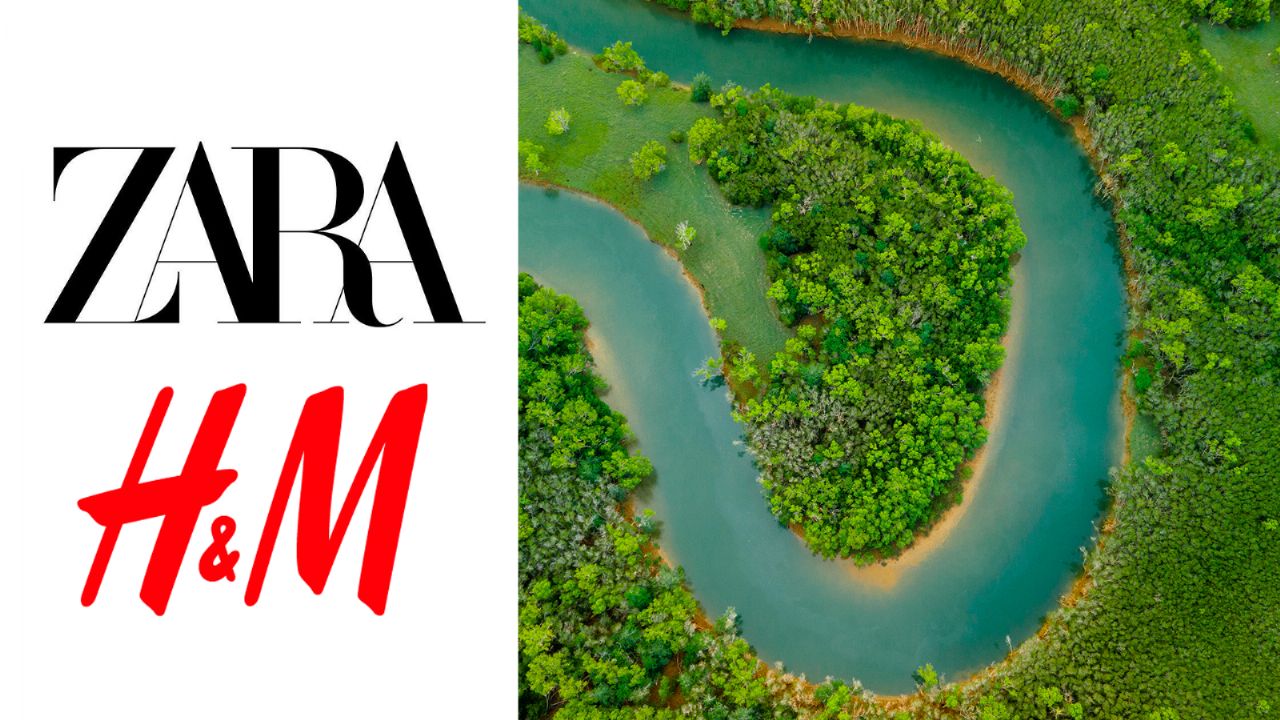 Zara y H&M son señaladas de comprar algodón de fincas brasileñas multadas por degradación ambiental