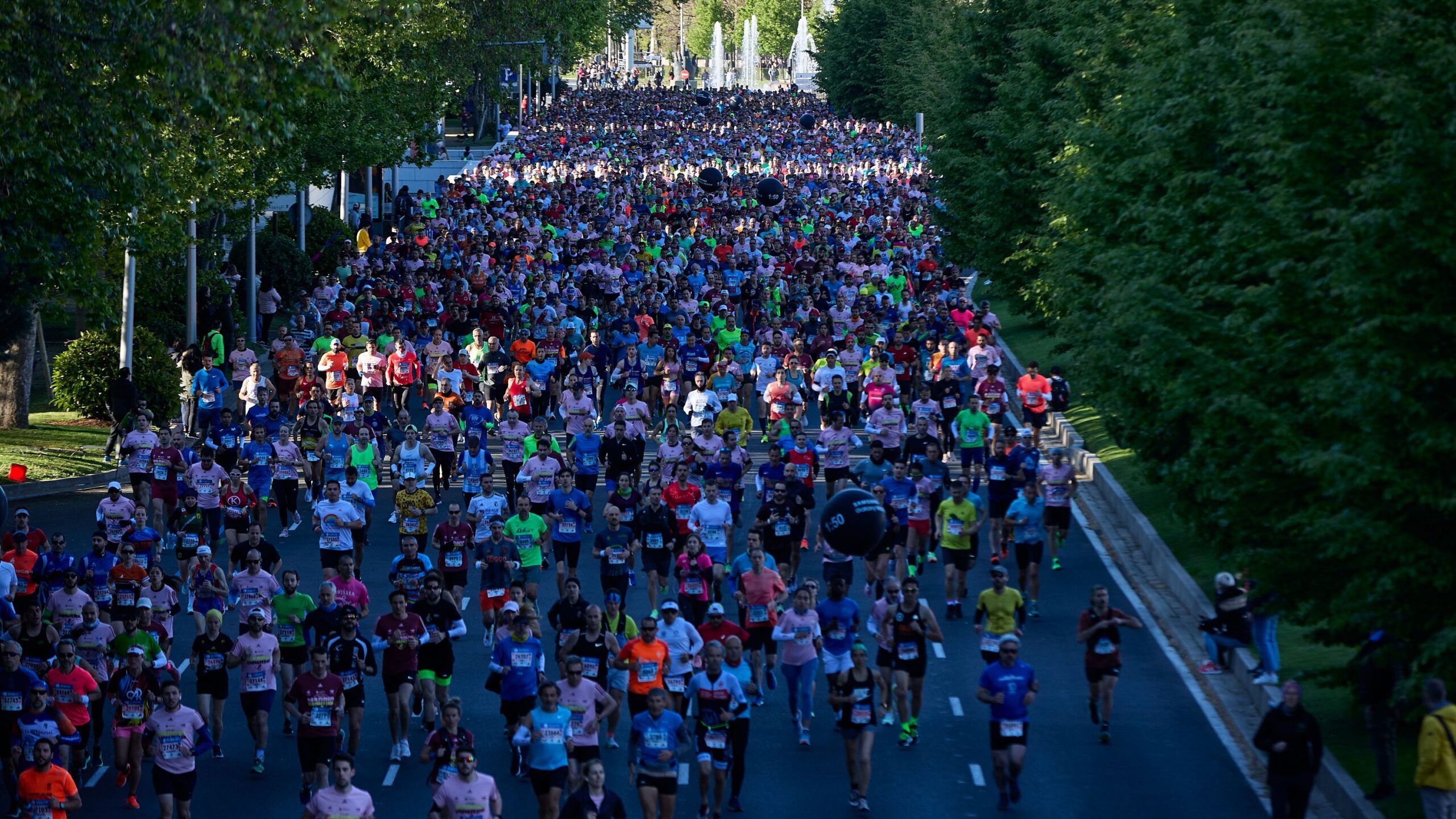 mas-de-40.000-corredores-participaran-en-la-xlvi-edicion-del-maraton-de-madrid
