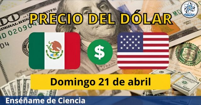 Precio del dólar domingo 21 de abril ¿Cómo amaneció el tipo de cambio en México?