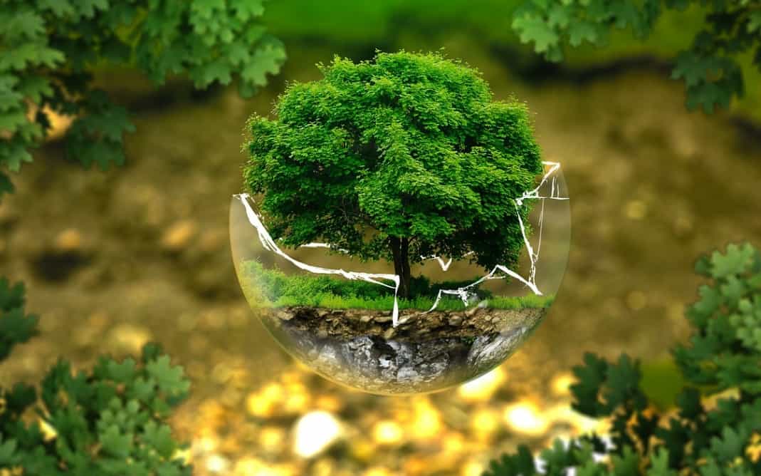 El origen del Día Internacional de la Madre Tierra y los desafíos ambientales de la hora presente