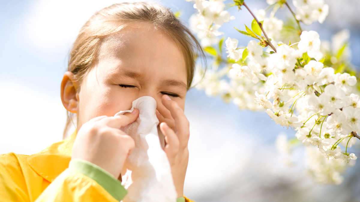 Temporada de alergias inicia antes de lo previsto en el Área de la Bahía