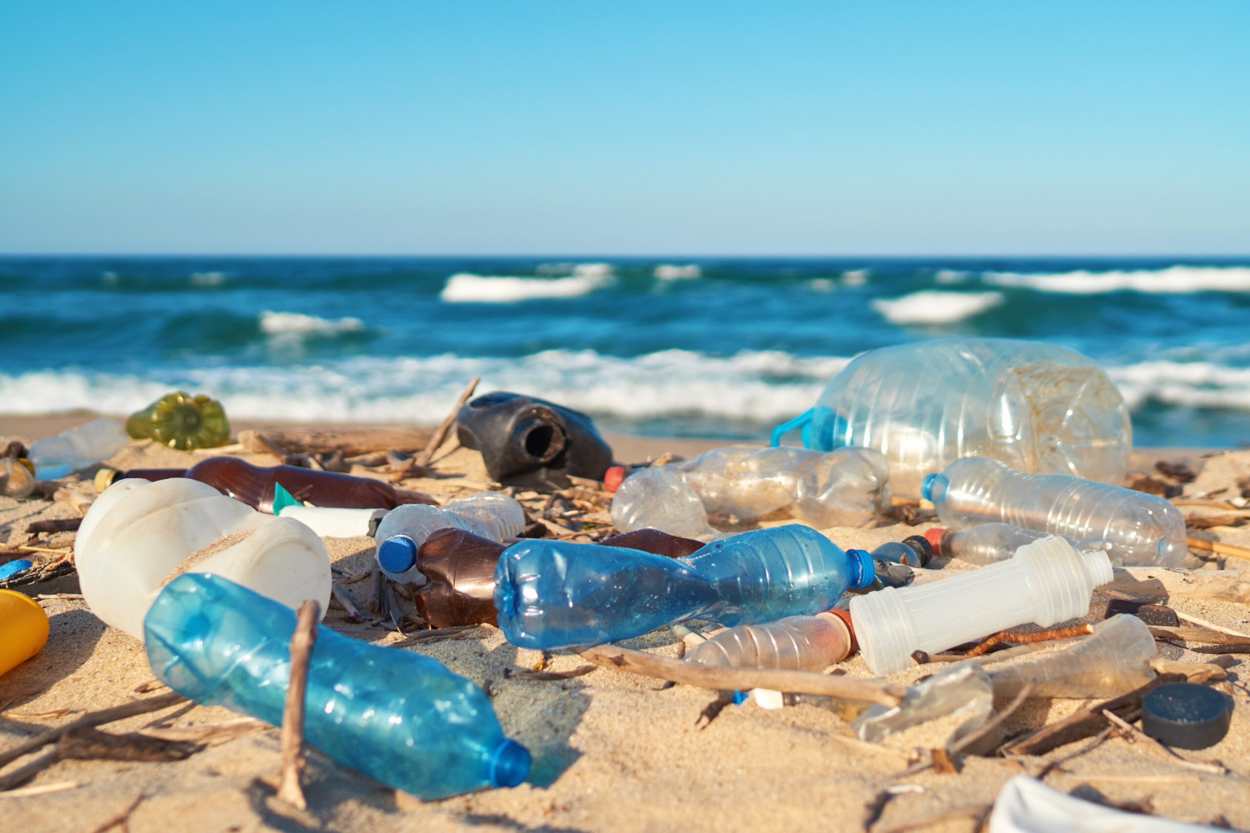 La Justicia Oceánica para Todos requiere una acción contundente contra la contaminación por plástico  – El Diario NY