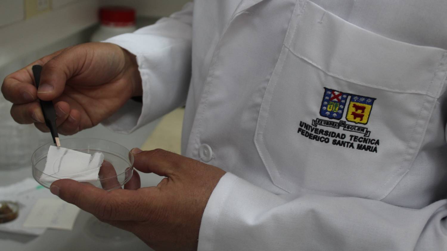 Liderando en medicina regenerativa: Chilenos trabajan en implantes de piel con polímeros de salmón