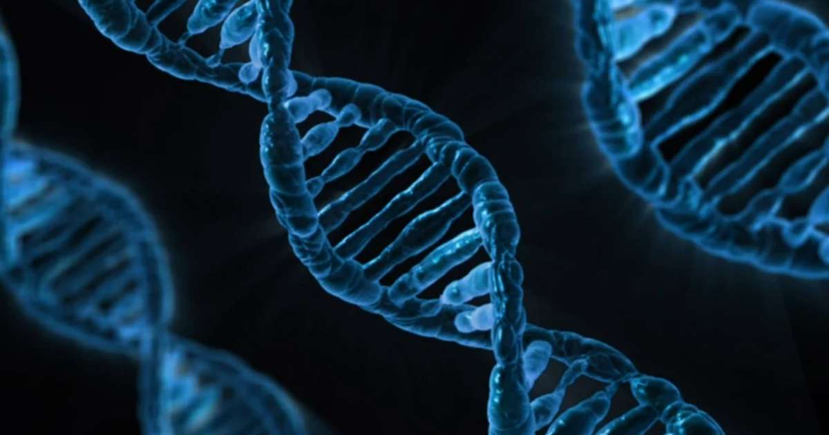 5 curiosidades sobre el ADN que debes conocer