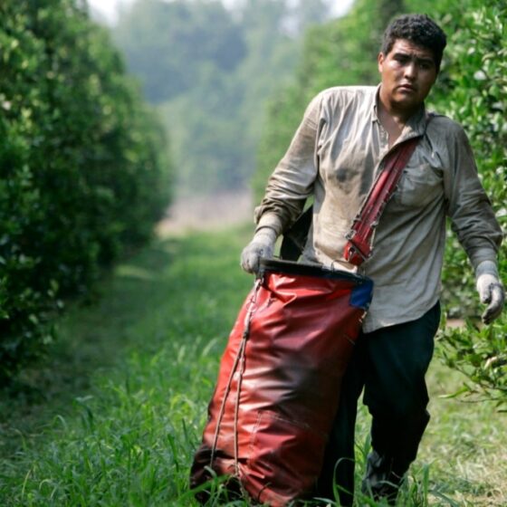 trabajadores-agricolas-temporales-de-eeuu-tendran-mas-protecciones-contra-represalias-y-otros-abusos
