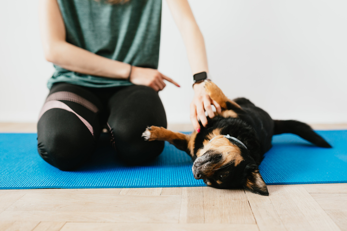 'Puppy' yoga: en qué consiste este polémico ejercicio