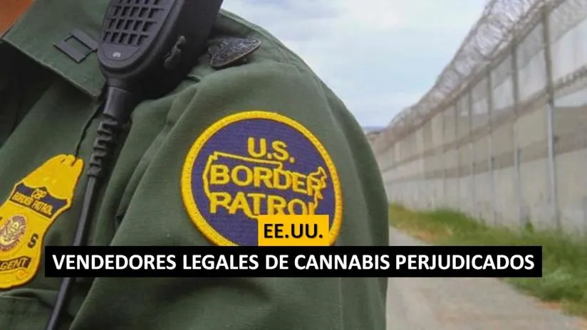 ¿Cómo afecta a los vendedores legales de cannabis las medidas en la frontera de EE.UU.? | RPP Noticias