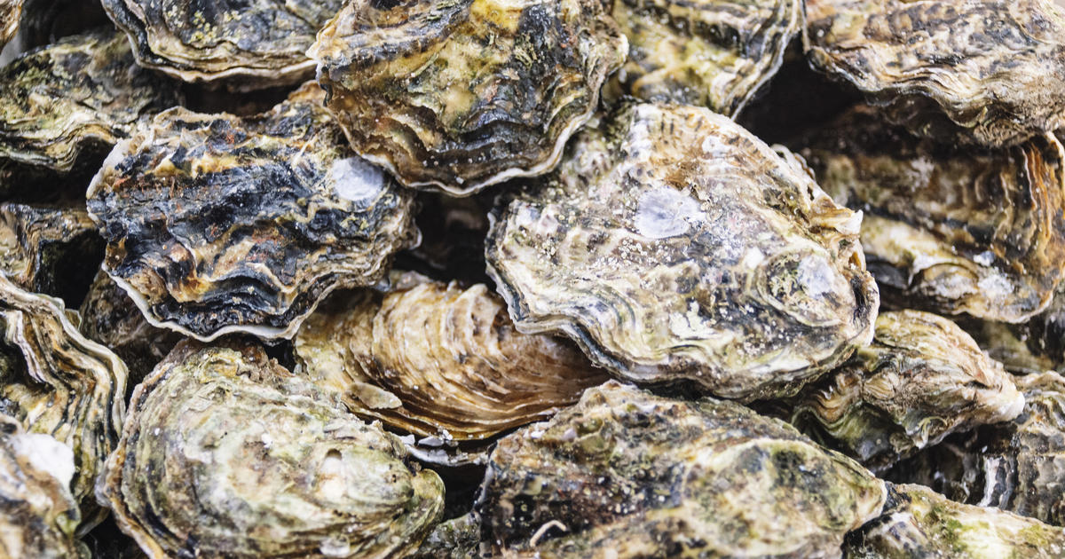 California health officials issue warning about raw oysters from Korea over norovirus