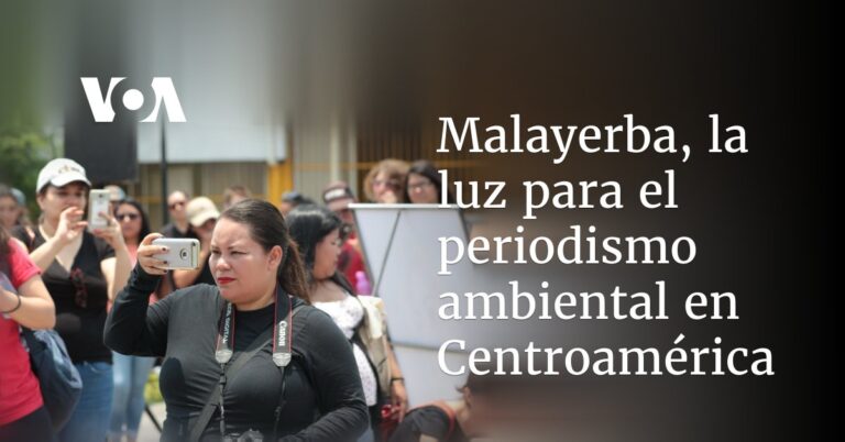 malayerba,-la-luz-para-el-periodismo-ambiental-en-centroamerica