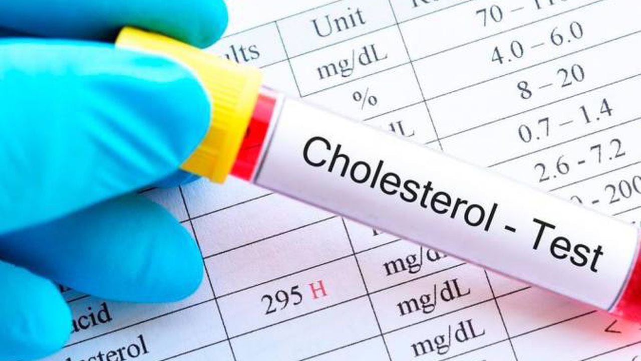 El alimento fuente de proteínas que ayuda a regular el colesterol y los triglicéridos