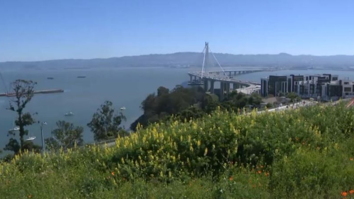 Inauguran Panorama Park en San Francisco