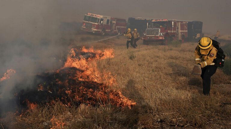 california-firefighters-battle-wind-driven-wildfire-east-of-san-francisco-overnight-|-world-news-–-the-indian-express