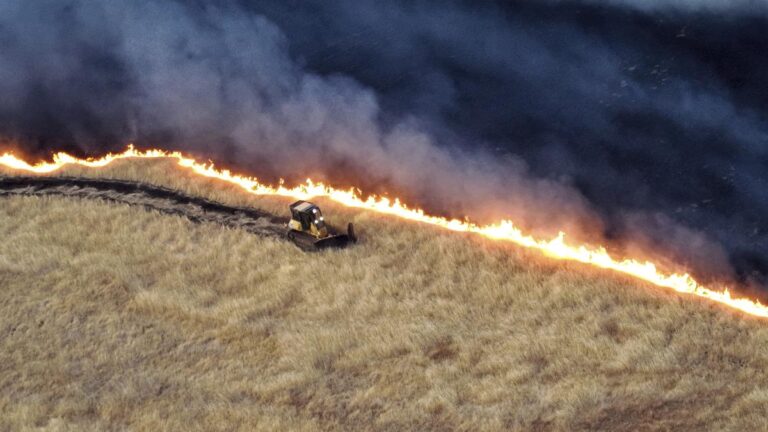 combaten-incendio-forestal-en-california-avivado-por-el-viento-al-este-de-san-francisco