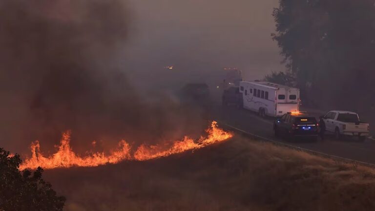 bomberos-de-california-continuan-luchando-contra-incendios-forestales-provocados-por-viento-al-este-de-san-francisco