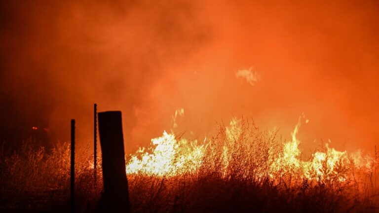 wildfire-in-california-prompts-evacuations-and-highway-shutdown